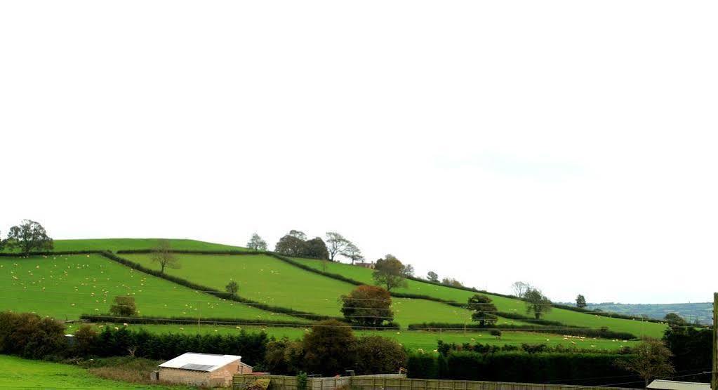 The Cannards Well Shepton Mallet Ngoại thất bức ảnh